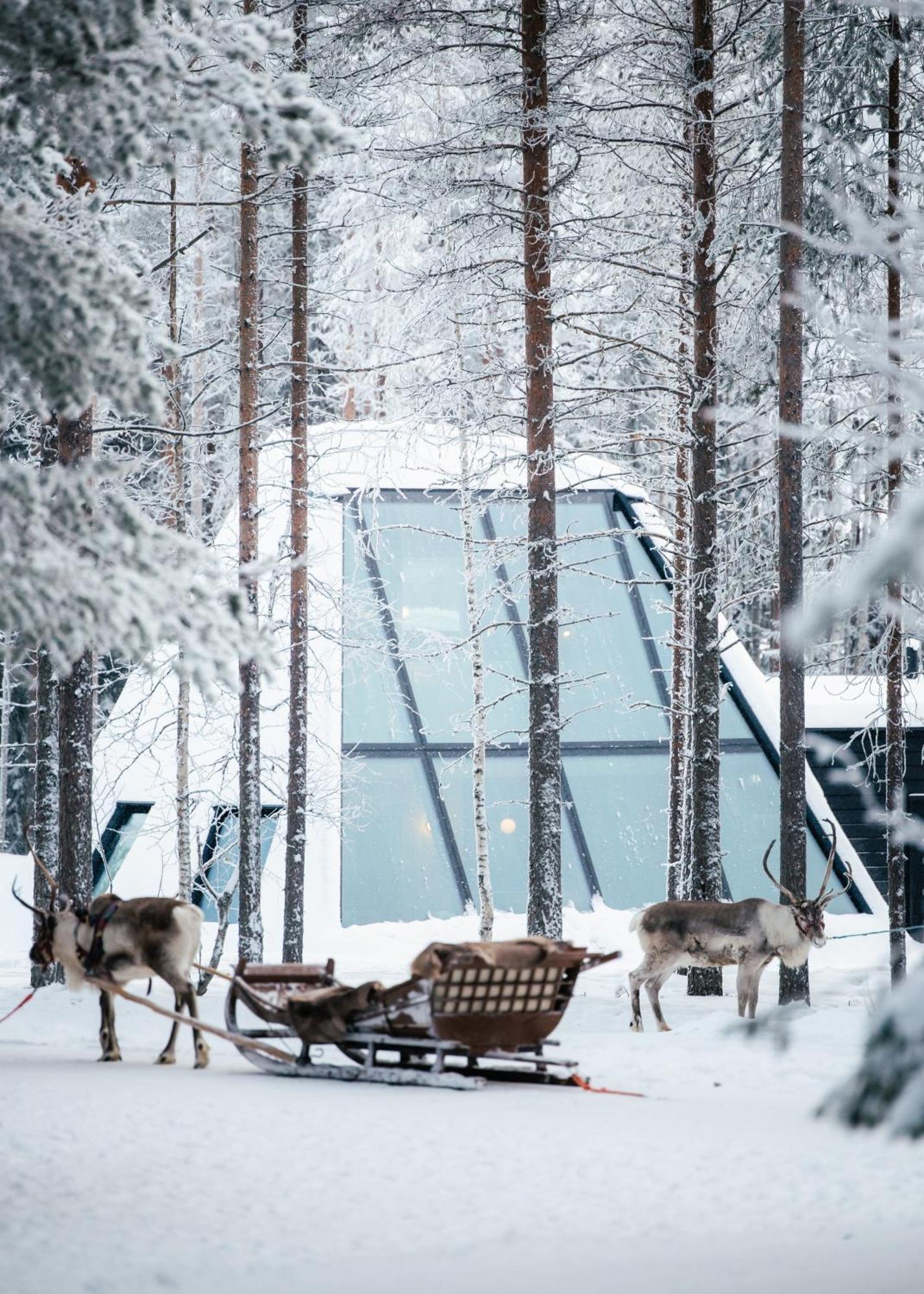 Glass Resort Rovaniemi Ngoại thất bức ảnh