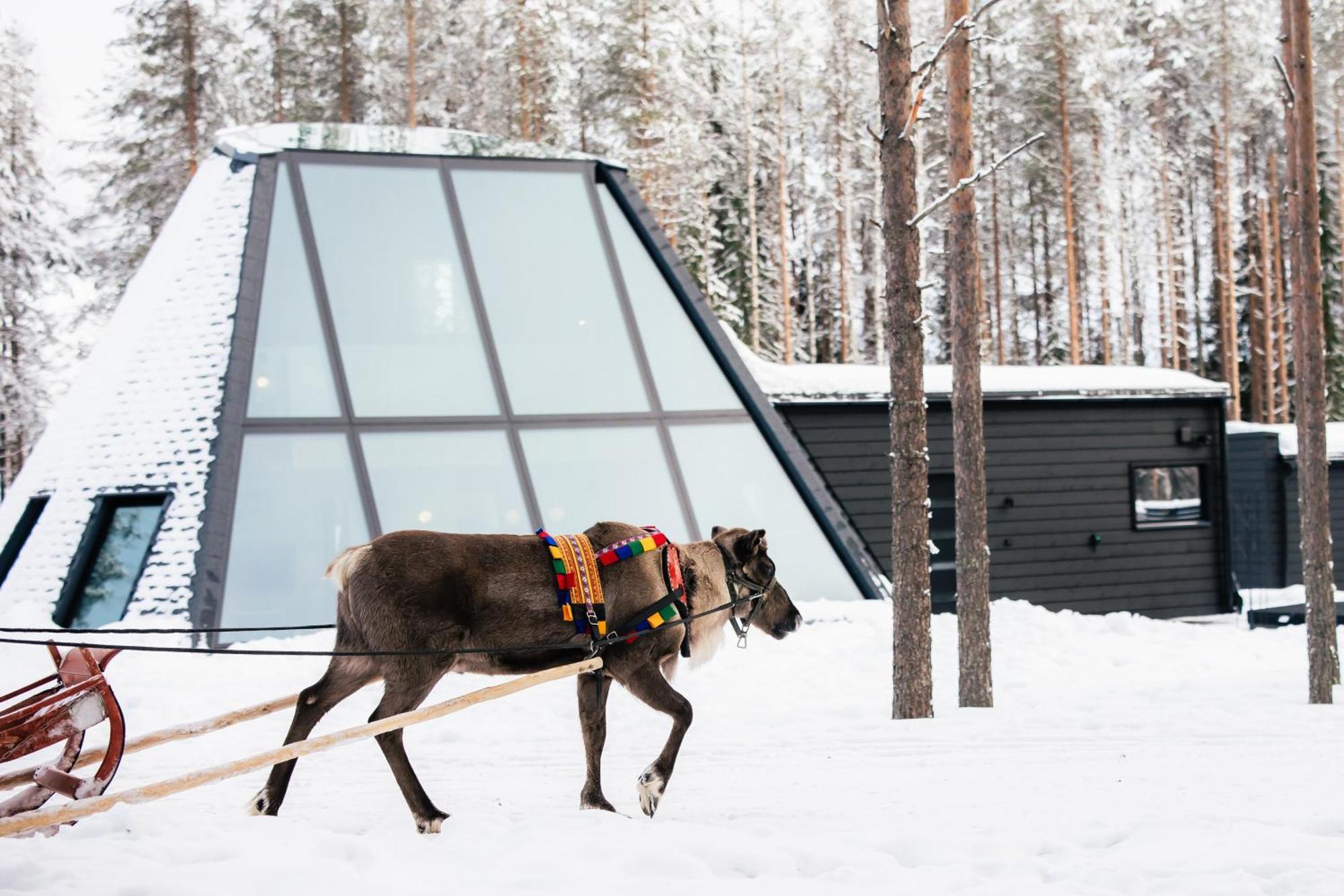 Glass Resort Rovaniemi Phòng bức ảnh